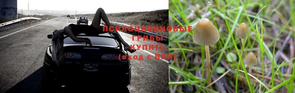 скорость Мегион