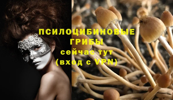 ГАЛЛЮЦИНОГЕННЫЕ ГРИБЫ Киров