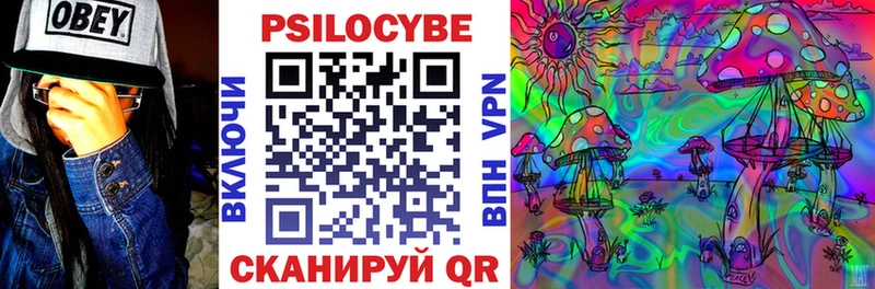 mega маркетплейс  Альметьевск  Псилоцибиновые грибы Psilocybine cubensis 
